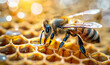 Bee on honeycomb with flowing honey close up, detail sunlight shadows, bright image, background bokeh