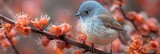 Fototapeta  - Abstract Background Gradient Blue Bird, Background Image, Background For Banner, HD