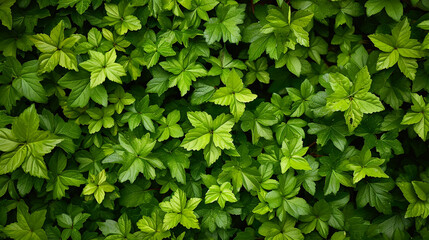Sticker - green foliage texture, Leaf texture background. Generative Ai
