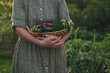 woman harvesting from own vegetable kitchen garden