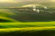 Beautiful lines of Moravian Tuscany. An agricultural landscape at sunset. Sown fields in spring. Green sun-drenched lawns with flowering trees.