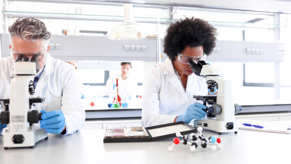  Colleagues from the lab working on the microscopes