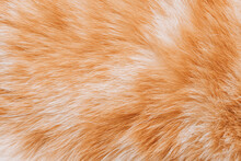 Red Fur, Background Texture, Brown Pelt. Close-up Of A Coat Garment. Animal Fur Background.