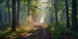 An enchanted forest path lit by the piercing morning light, signifying hope and new beginnings amidst nature