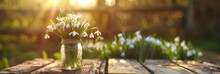 Spring And Summer Background. Glass Jar With Fresh Snowdrop Flowers, Set Upon A Rustic Wooden Table.