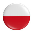 Poland flag icon - Euro 2024