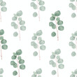 watercolor green silver eucalyptus foliage seamless pattern