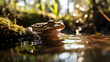 Amphibian Oddity, Holy Cross Frog in Australian Swamps. Generated AI
