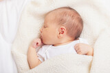 Fototapeta Big Ben - Newborn Baby Asleep Wrapped in Knit Blanket