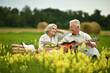 Senior couple with guitar at summer field