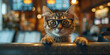 Whiskered Wisdom: Intellectual Cat Contemplates Life in Cozy Cafe Banner