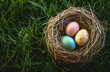 © vvalentine - Colorful Easter eggs in a bird nest on green grass