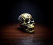 Human skull gold on wood table dark background