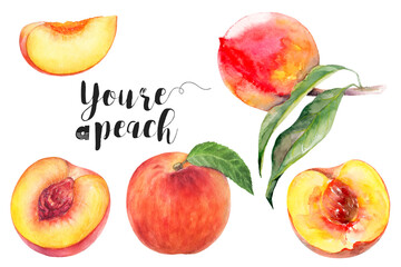 Wall Mural - Watercolor illustration of peach fruits set close up. Design template for packaging, menu, postcards.