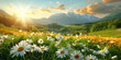 A beautiful spring summer meadow Chamomile flowers. Natural colorful panoramic landscape with many wild flowers of daisies against blue sky.banner