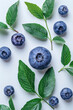 Blueberries with leaves isolated on white backgrounds 