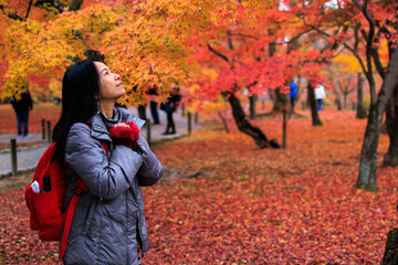 Wall Mural - Woman enjoying the colorful Japanese autumn