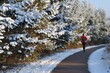 morning jogger on a trail lined with snowcovered pines