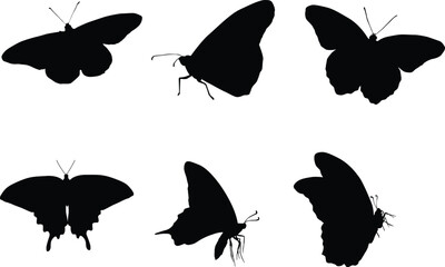 set of butterflies silhouettes illustration. Animal wildlife hand drawn in vector