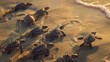 Multiple sea turtles are captured scrambling on the wet golden sand towards the majestic sea as the sunlight sparkles on the water's edge