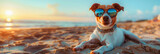 Fototapeta  - Dog in sunglasses on the beach, happy puppy enjoying the sea breeze, sunny seashore vibes.