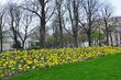Paris, France 03.25.2017: Luxembourg Palace and park in Paris, the Jardin du Luxembourg
