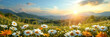 A beautiful spring summer meadow Chamomile flowers. Natural colorful panoramic landscape with many wild flowers of daisies against blue sky.banner