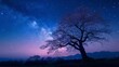 Lone Tree Under Night Sky With Stars