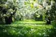 White blossoms in a lush green orchard