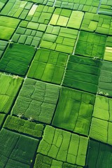 Wall Mural - Aerial view of lush countryside with green fields and agricultural land in natural setting