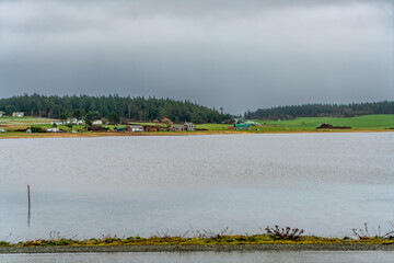 Wall Mural - Oak Harbor Pond 3