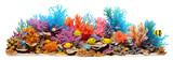 Fototapeta  - Colorful coral reef cut out