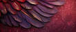Lustrous violet feathers arranged in a layered pattern against a textured burgundy background.