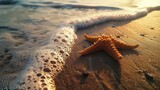 Fototapeta  - Solitary starfish resting on the sandy shore under the moonlight, creating an eerie yet mesmerizing scene of nature's beauty