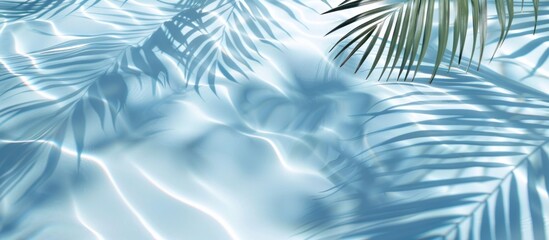 Wall Mural - Tropical Shadows on Pool Water