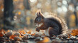 A diurnal squirrel gathering nuts under the midday sun