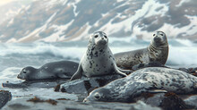 A Family Of Seals Lounging On A Rocky Beach