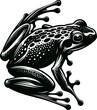 Vector illustration in black and white showcasing a frog in mid-leap highlighting its powerful legs and textured skin
