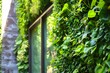Close up of green plants on a wall garden in a modern home exterior. Ai Generated.