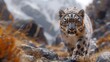 rare sight of a snow leopard, prowling stealthily through the rugged terrain of the Himalayas, its fur blending seamlessly with the rocky landscape, in cinematic 16k high resolution.