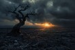 Dramatic Sunrise over Barren Landscape with Twisted Lone Tree
