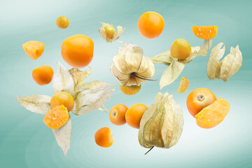 Ripe orange physalis fruits with calyx falling on color gradient background