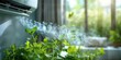fresh air coming from an air conditioner or humidifier. mint leaves - the concept of freshness