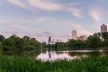 Chicago Skyline Skyscrapers As Seen From The North Pond 