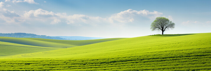 Wall Mural - a tranquil day in the countryside