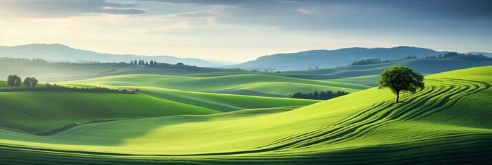 Wall Mural - a tranquil day in the countryside