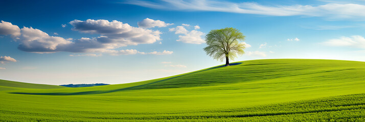 Wall Mural - a tranquil day in the countryside