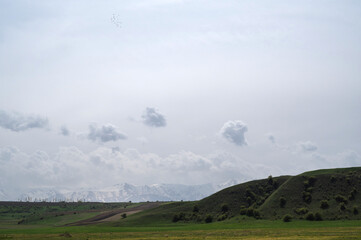 Wall Mural - green meadow in spring against the background of mountains with a cloudy sky