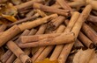 Cinnamon sticks tied with string