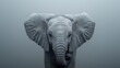   A close-up of an elephant's face in fog, with a black and white photo behind it